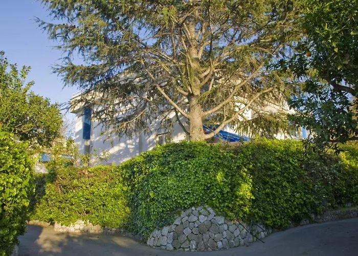 Francesca * 索伦托